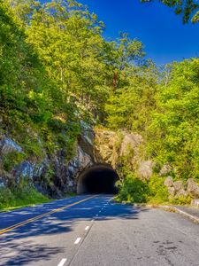 Preview wallpaper road, tunnel, darkness, trees, shadows