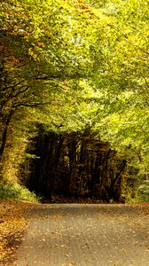 Preview wallpaper road, tunnel, trees, leaves, autumn, nature