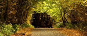 Preview wallpaper road, tunnel, trees, leaves, autumn, nature