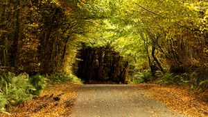 Preview wallpaper road, tunnel, trees, leaves, autumn, nature