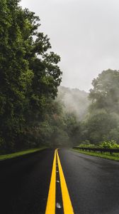 Preview wallpaper road, turn, asphalt, fog, trees