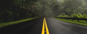 Preview wallpaper road, turn, asphalt, fog, trees