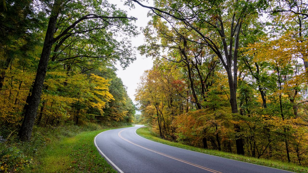 Wallpaper road, turn, asphalt, trees, nature