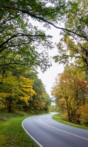 Preview wallpaper road, turn, asphalt, trees, nature