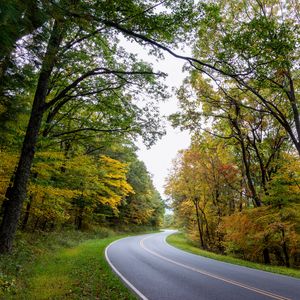 Preview wallpaper road, turn, asphalt, trees, nature