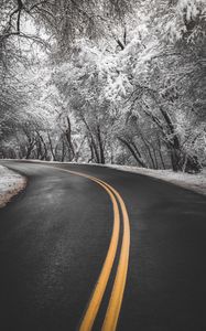 Preview wallpaper road, turn, asphalt, marking, trees, snow, winter