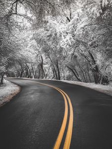 Preview wallpaper road, turn, asphalt, marking, trees, snow, winter