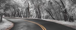 Preview wallpaper road, turn, asphalt, marking, trees, snow, winter