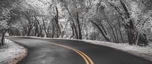 Preview wallpaper road, turn, asphalt, marking, trees, snow, winter