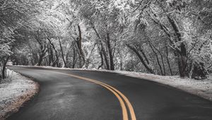 Preview wallpaper road, turn, asphalt, marking, trees, snow, winter