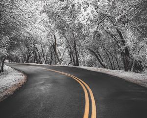 Preview wallpaper road, turn, asphalt, marking, trees, snow, winter