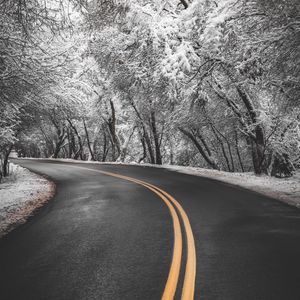 Preview wallpaper road, turn, asphalt, marking, trees, snow, winter