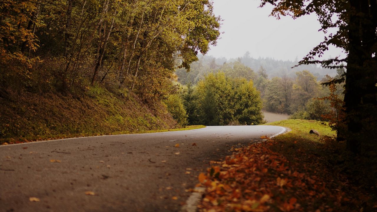 Wallpaper road, turn, autumn, fallen leaves