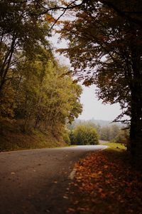 Preview wallpaper road, turn, autumn, fallen leaves