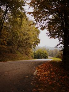 Preview wallpaper road, turn, autumn, fallen leaves