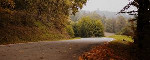 Preview wallpaper road, turn, autumn, fallen leaves