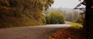 Preview wallpaper road, turn, autumn, fallen leaves