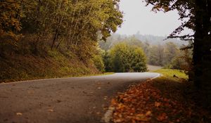 Preview wallpaper road, turn, autumn, fallen leaves