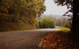 Preview wallpaper road, turn, autumn, fallen leaves