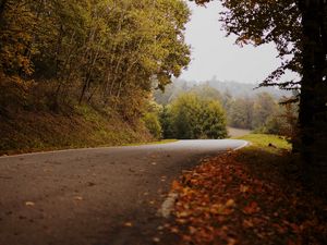 Preview wallpaper road, turn, autumn, fallen leaves