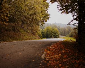 Preview wallpaper road, turn, autumn, fallen leaves