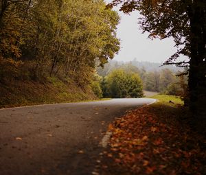 Preview wallpaper road, turn, autumn, fallen leaves