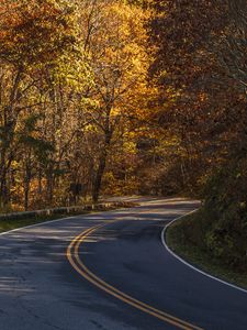 Preview wallpaper road, turn, autumn, trees, nature