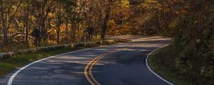 Preview wallpaper road, turn, autumn, trees, nature