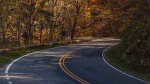 Preview wallpaper road, turn, autumn, trees, nature