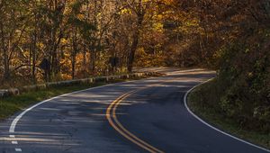 Preview wallpaper road, turn, autumn, trees, nature