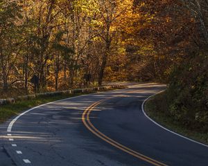 Preview wallpaper road, turn, autumn, trees, nature