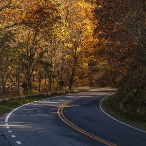 Preview wallpaper road, turn, autumn, trees, nature