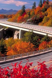 Preview wallpaper road, turn, autumn, asphalt, serpentine, wood, height