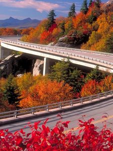 Preview wallpaper road, turn, autumn, asphalt, serpentine, wood, height