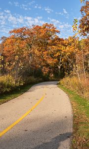 Preview wallpaper road, turn, autumn, trees, landscape