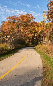 Preview wallpaper road, turn, autumn, trees, landscape