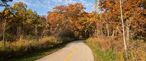 Preview wallpaper road, turn, autumn, trees, landscape