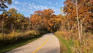 Preview wallpaper road, turn, autumn, trees, landscape
