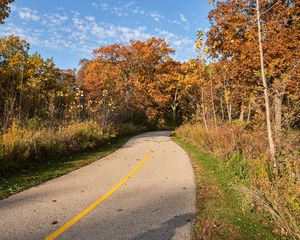 Preview wallpaper road, turn, autumn, trees, landscape