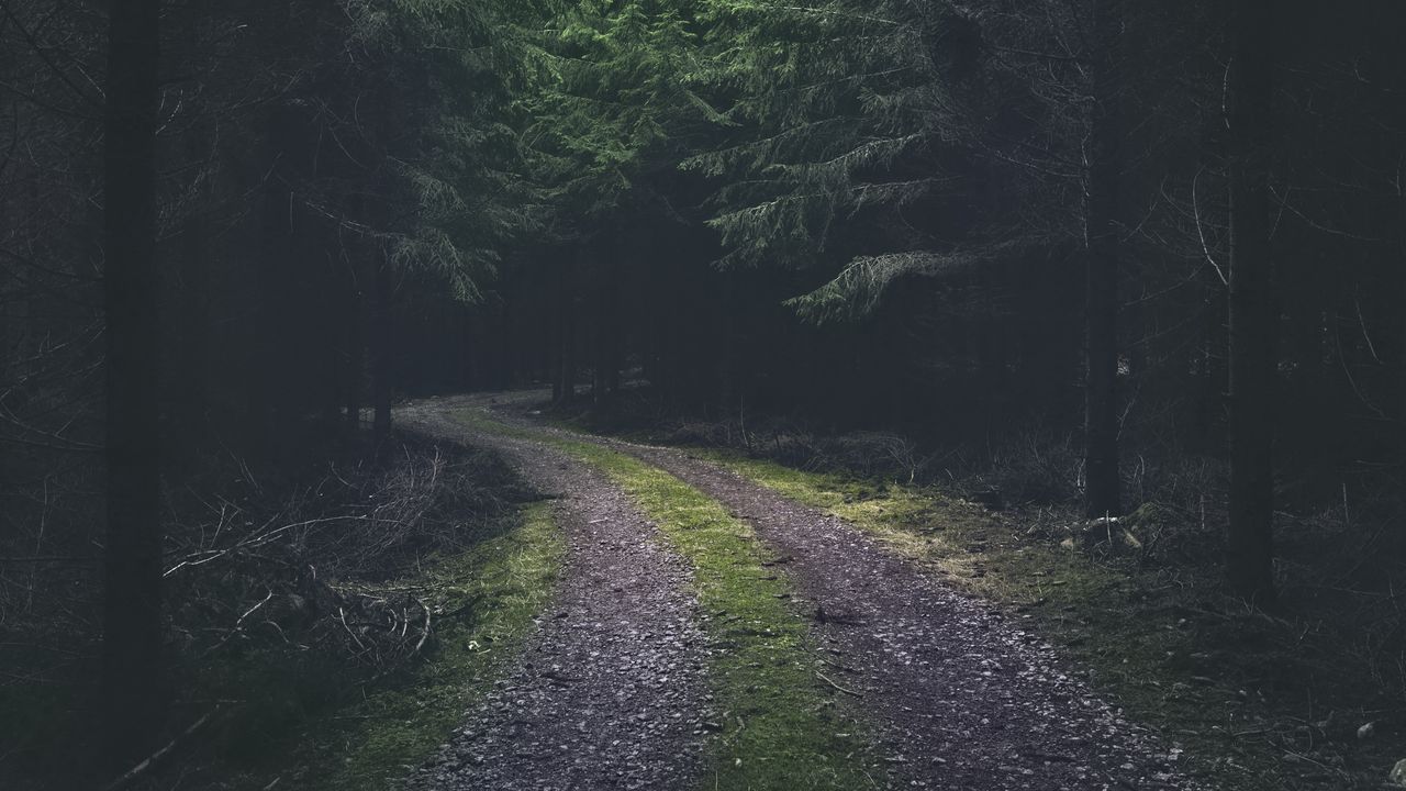 Wallpaper road, turn, dark, forest, trees