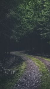 Preview wallpaper road, turn, dark, forest, trees