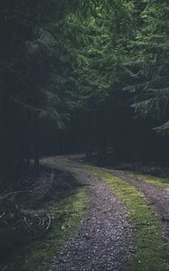 Preview wallpaper road, turn, dark, forest, trees