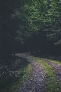 Preview wallpaper road, turn, dark, forest, trees