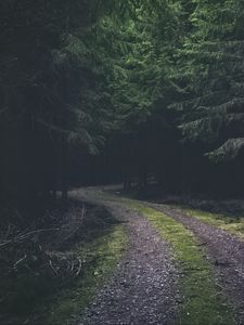 Preview wallpaper road, turn, dark, forest, trees