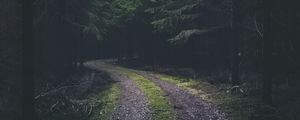 Preview wallpaper road, turn, dark, forest, trees