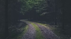 Preview wallpaper road, turn, dark, forest, trees