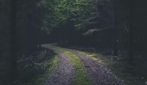 Preview wallpaper road, turn, dark, forest, trees