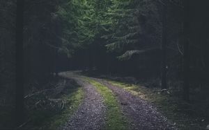 Preview wallpaper road, turn, dark, forest, trees