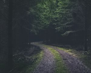 Preview wallpaper road, turn, dark, forest, trees