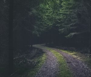 Preview wallpaper road, turn, dark, forest, trees